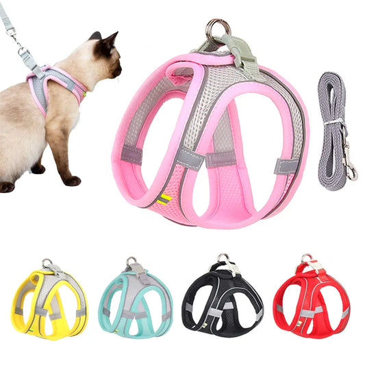 Comfortable Pet Harness and Leash
