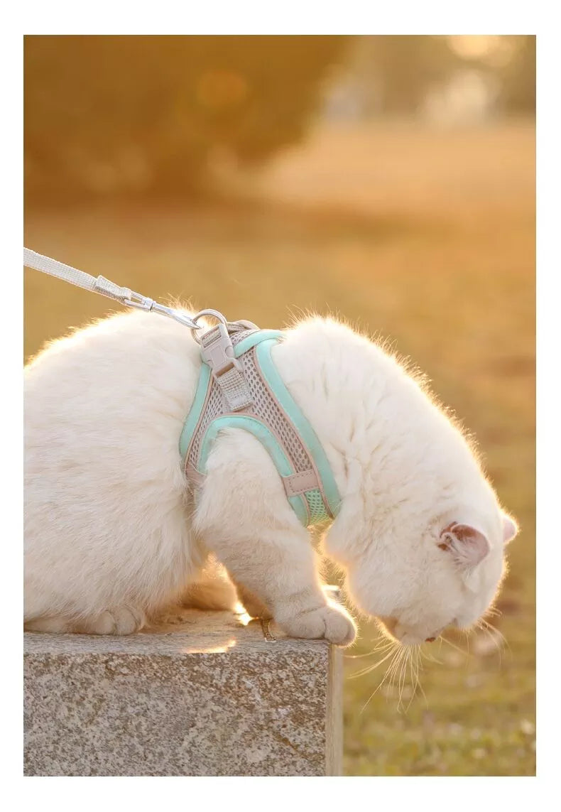 Comfortable Pet Harness and Leash